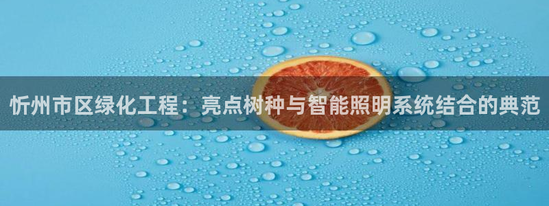 新宝gg测试