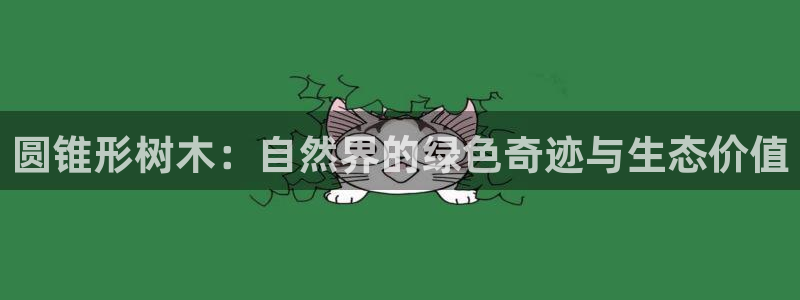 新宝gg代