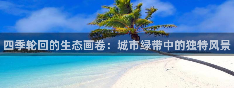 新宝gg平台反水