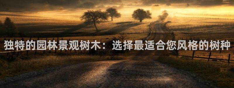 新宝gg会员