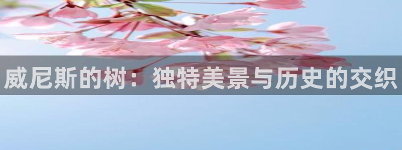 新宝GG上级