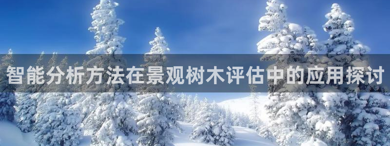 新宝gg创造奇迹 新宝gg