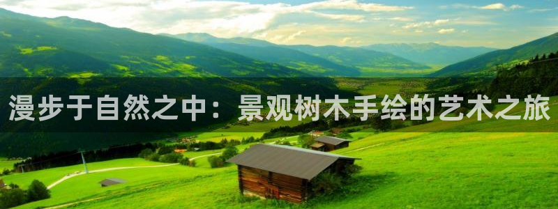 新宝gg推荐