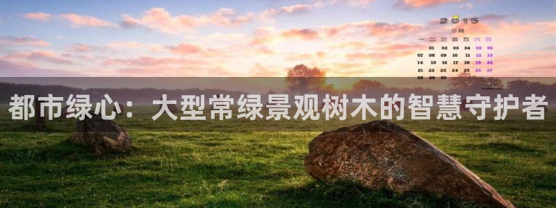 新宝gg注册登录