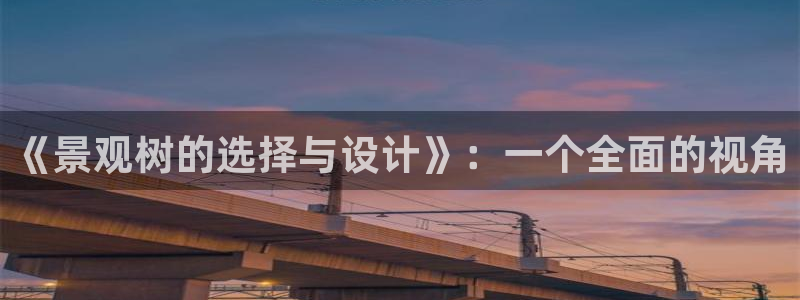 新宝gg创造奇迹 新宝gg