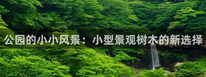 新宝 -gg登录