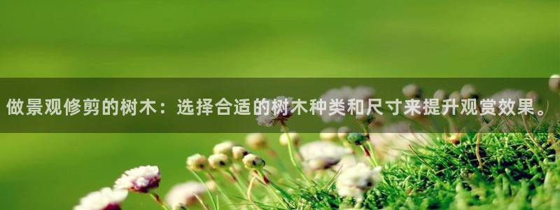 新宝gg评论