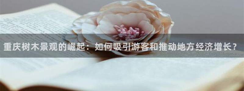 新宝gg专线