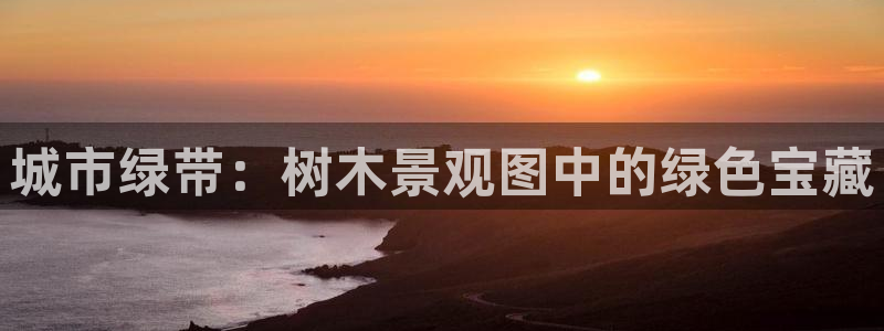 新宝GG专业团队