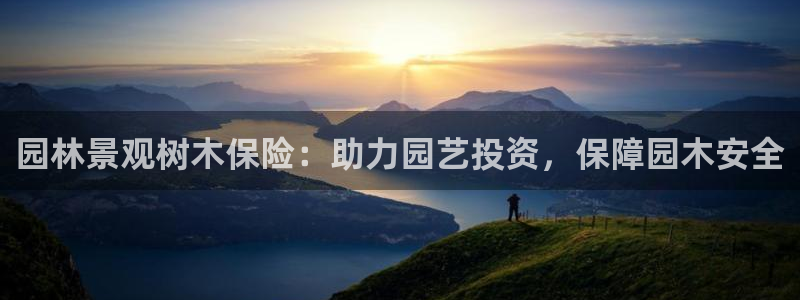 百度新宝gg
