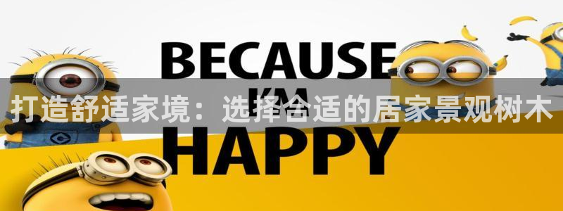 新宝gg传奇