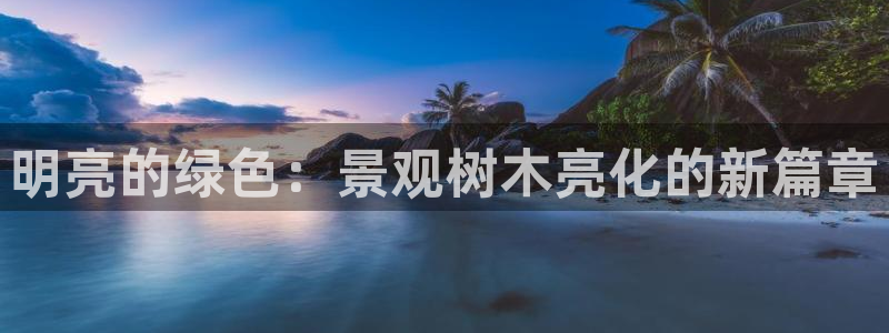 新宝gg金砖彩票