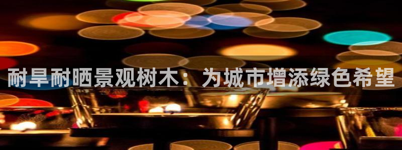 新宝gg和新宝5
