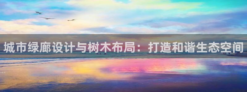 gg新宝创新