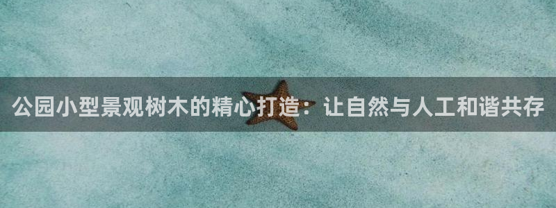 新宝gg怎样代理