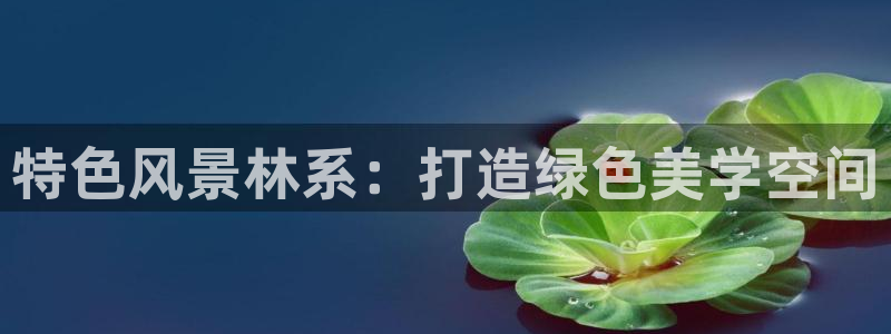 新宝gg创造奇迹下载