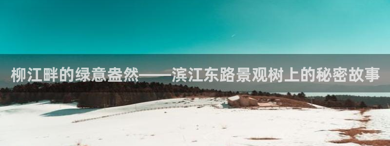 广东新宝电器gg
