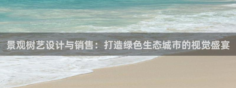 新宝gg在哪开户
