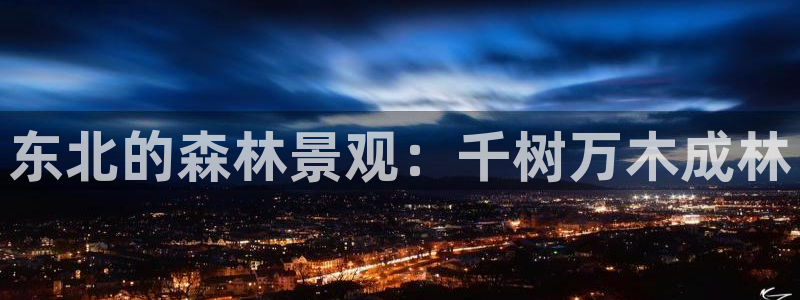 新宝gg开奖结果