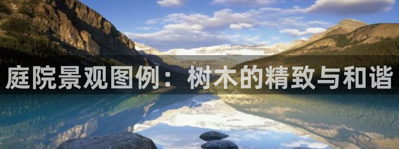 新宝gg违法