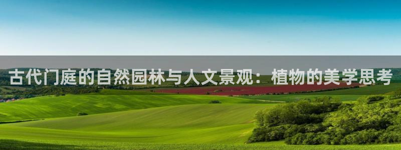 新宝gg怎么开户