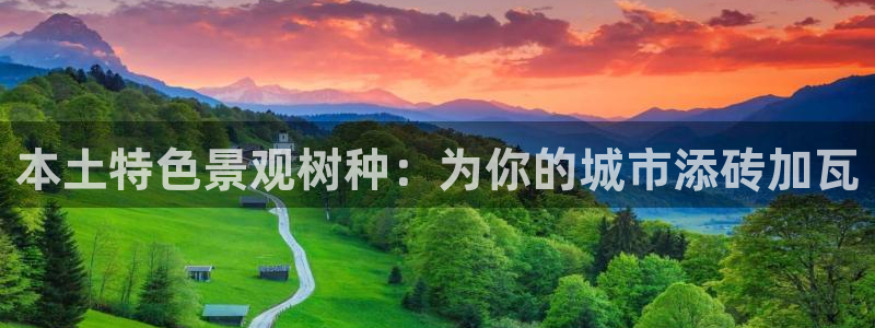 新宝gg下载官网下载