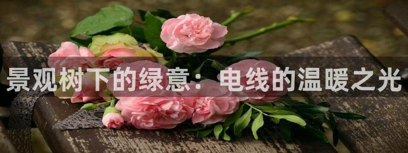 新宝gg代