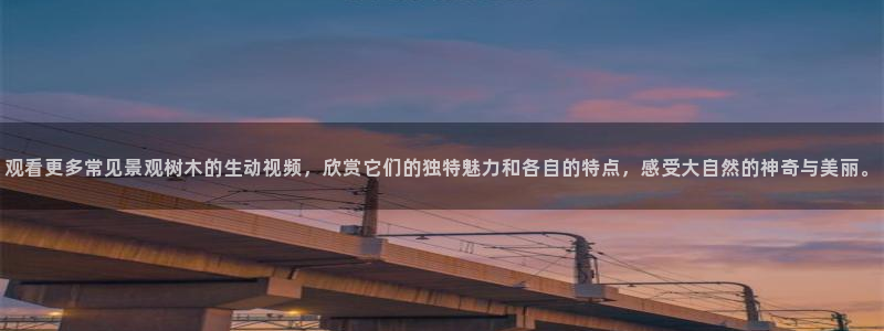 新宝奇迹GG