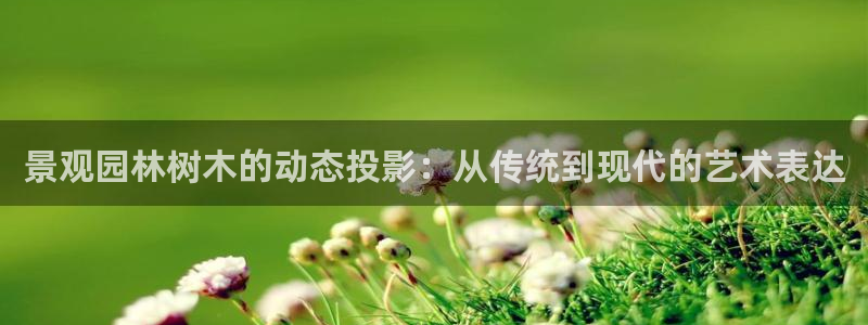 怎么下载新宝gg