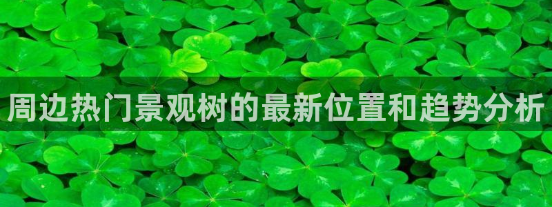 新宝gg代理条件