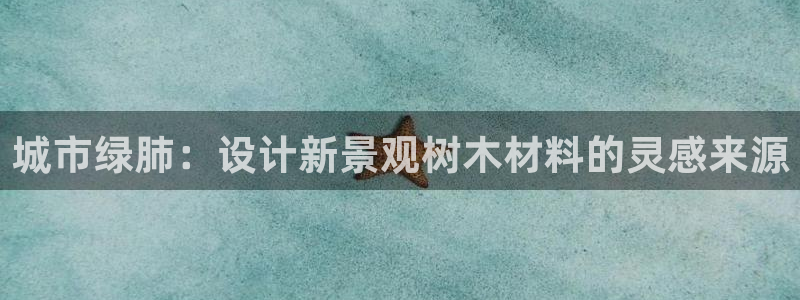 新宝gg官方下载