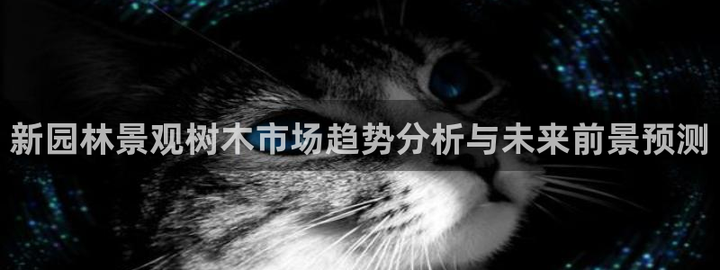 新宝gg娱乐官网