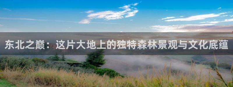 新宝gg奇迹