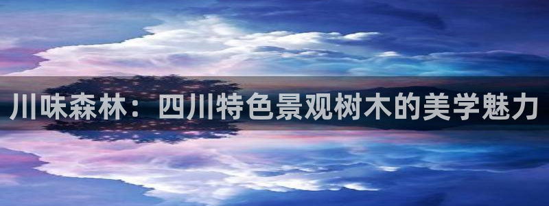 新宝gg 开户