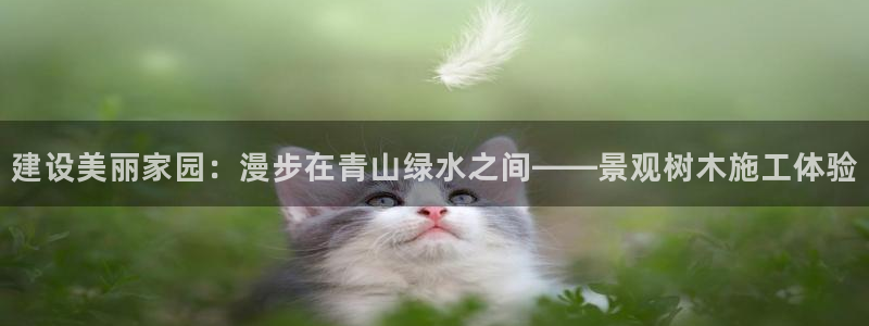 新宝gg挂机软件下载
