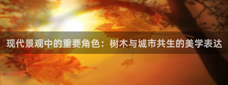 新宝gg计划