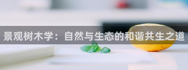 新宝gg建立团队