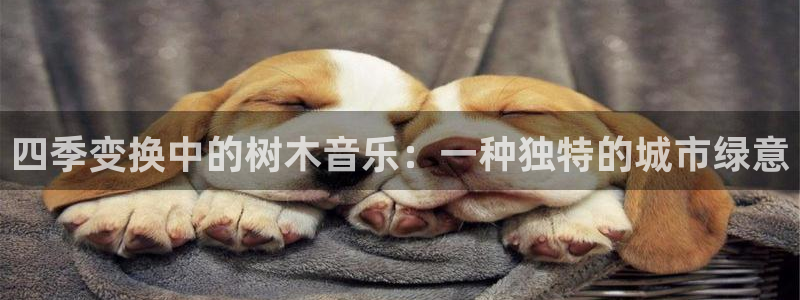 新宝GG娱乐下载