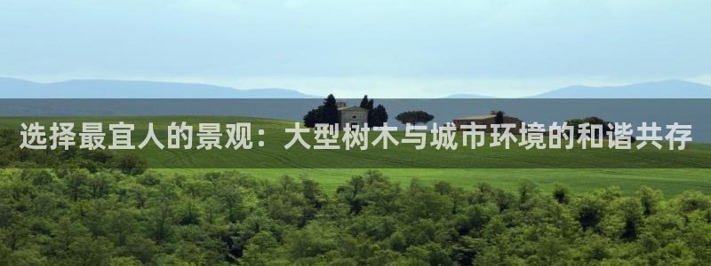 新宝gg靠谱吗