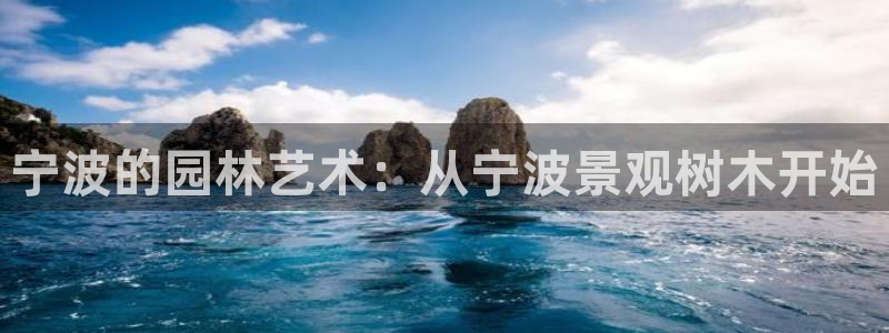 新宝gg招商