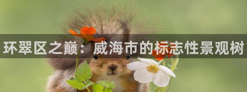 新宝gg金砖彩票