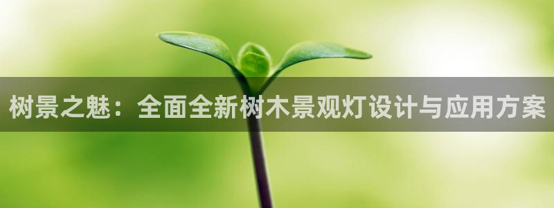 新宝gg用哪个浏览器