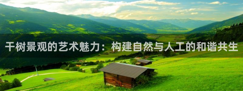 宝新gg