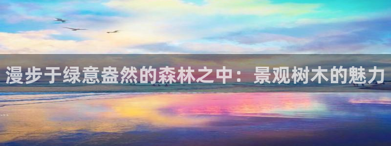 新宝gg平台开户