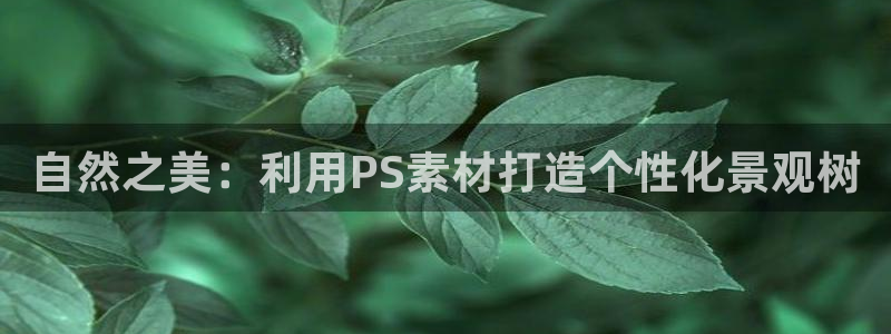 网站新宝GG