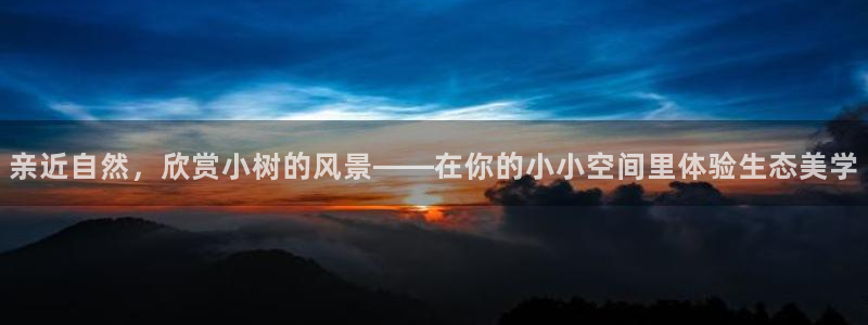 新宝gg找回账号