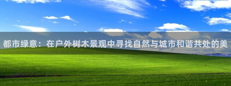 新宝亚洲GG