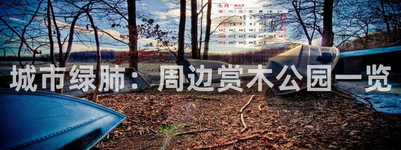 新宝GG寥78778：城市绿肺：周边赏木公园一览