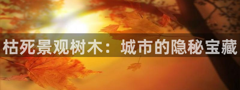 新宝gg娱乐怎么样