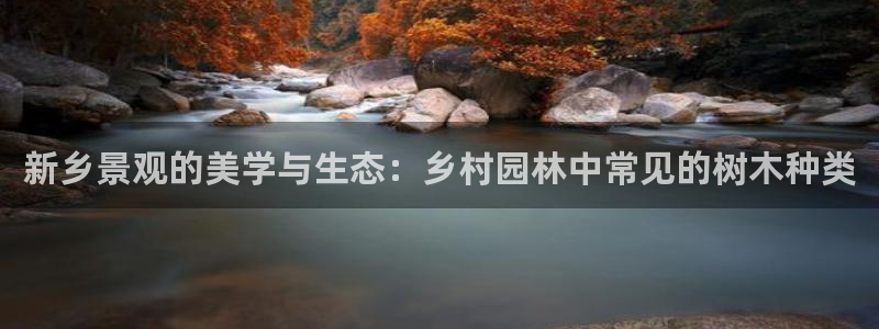 新宝gg登陆新
